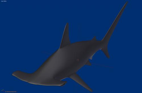 hammerhead shark preview image